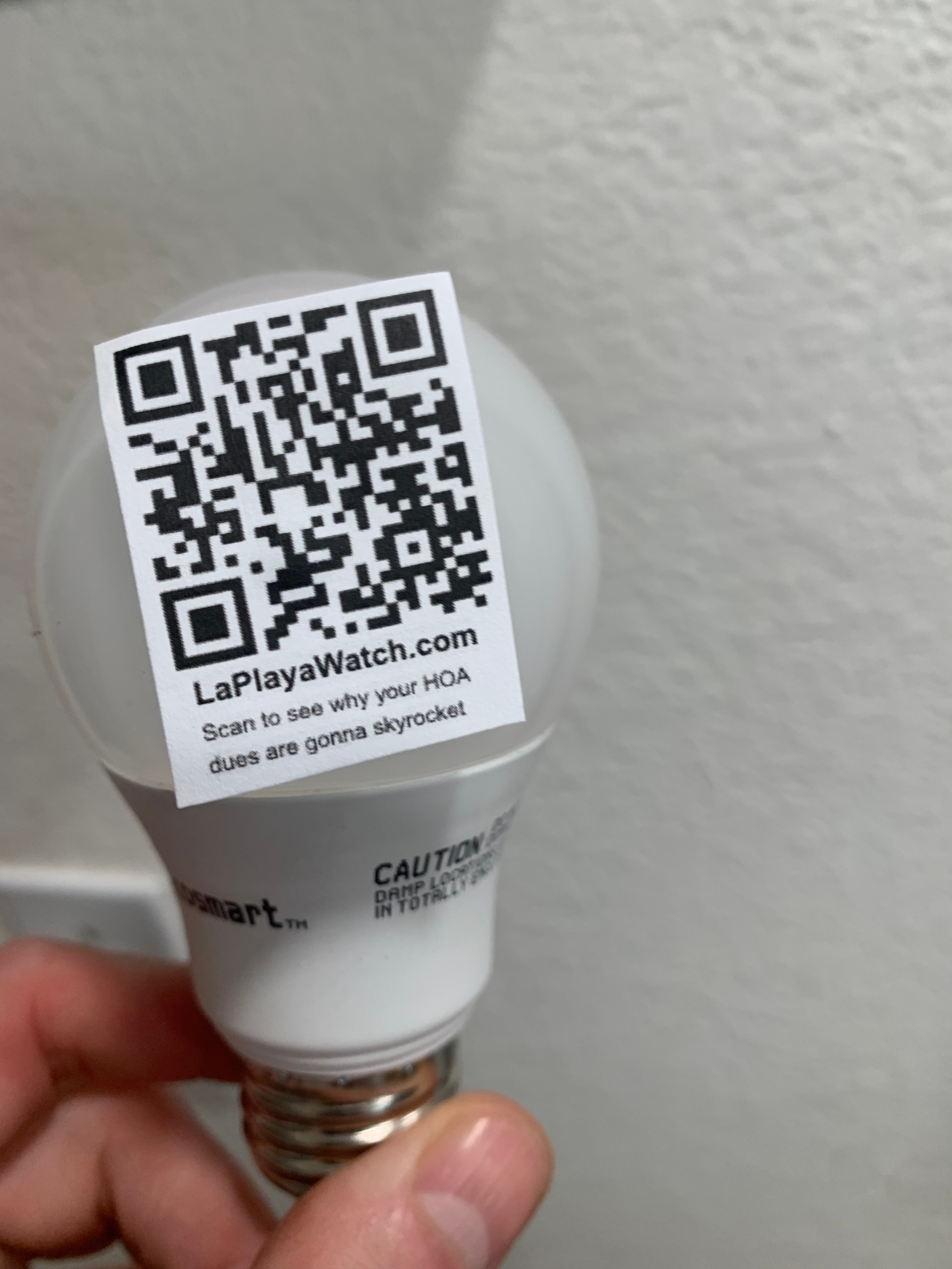 💡A Message in the Mess?