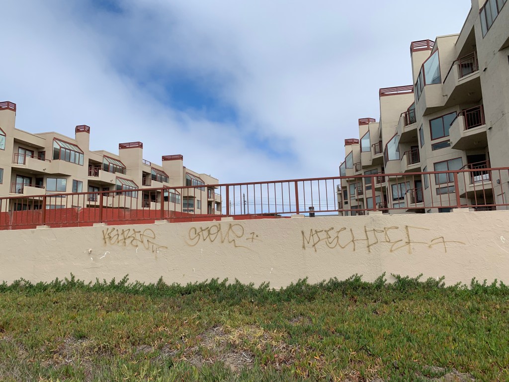 ☹️ City Frowns Upon Ocean Beach HOA Selective Enforcement